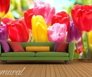de heer tulp bloemen fotobehang fotobehang demural