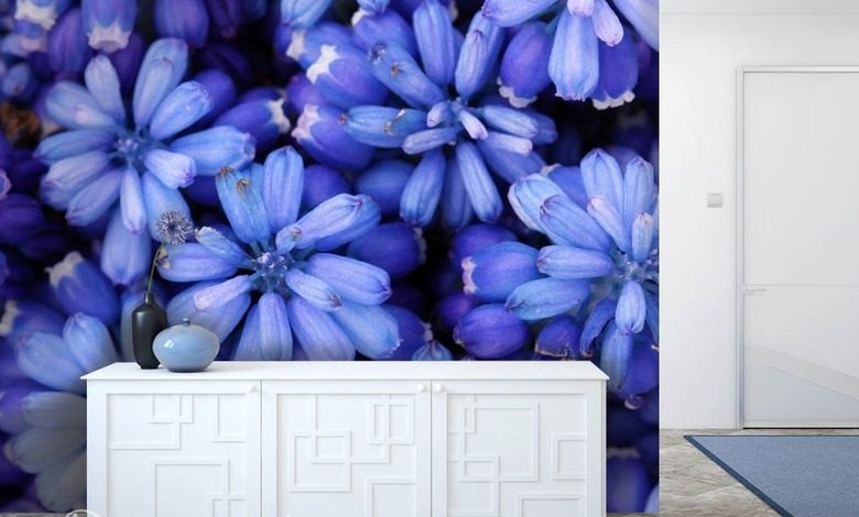 koningsblauw bloemen fotobehang fotobehang demural