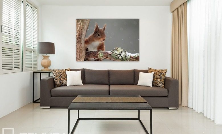 charmante eekhoorn posters voor de woonkamer posters demural