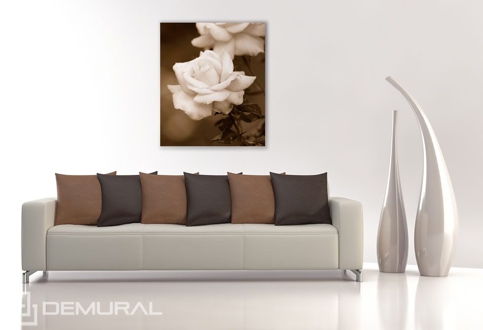 Rozengeur Bloemen Posters Posters Demural