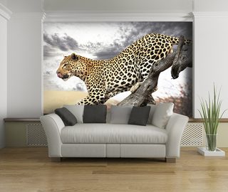 cheetah springen dieren fotobehang fotobehang demural