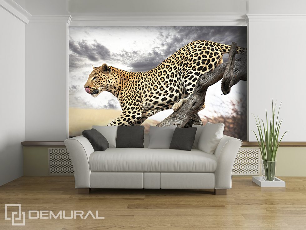 Cheetah springen Dieren Fotobehang Fotobehang Demural