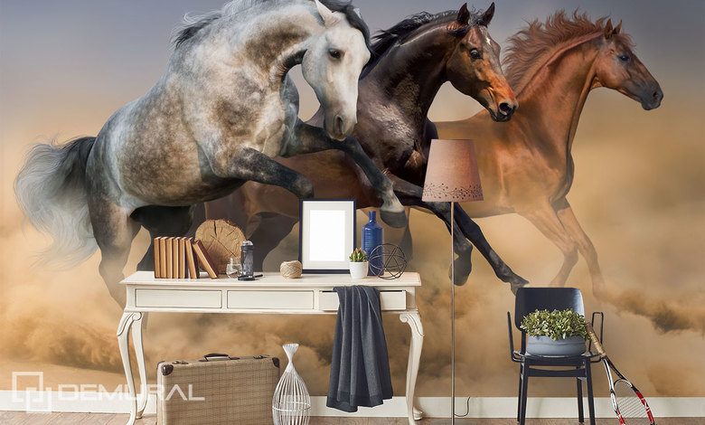 in het streven naar geluk trio in galop dieren fotobehang fotobehang demural