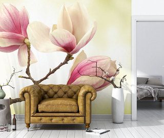 magnolia hoger niveau van delicatesse bloemen fotobehang fotobehang demural