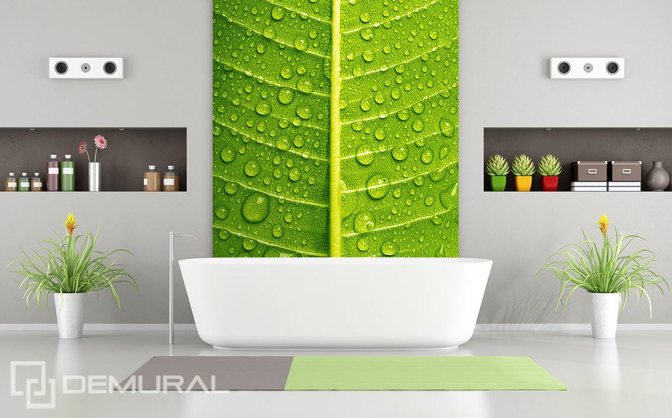 Groene, intieme zoom Fotobehang voor de badkamer Fotobehang Demural