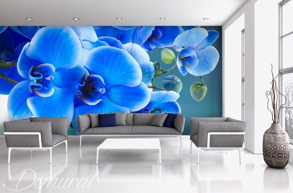 Azzurro, wat betekent dat blauw Bloemen Fotobehang Fotobehang Demural