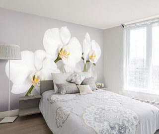 wit en sappige orchidee bloemen fotobehang fotobehang demural