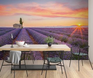 een lavendelveld tot aan de horizon provence fotobehang fotobehang demural