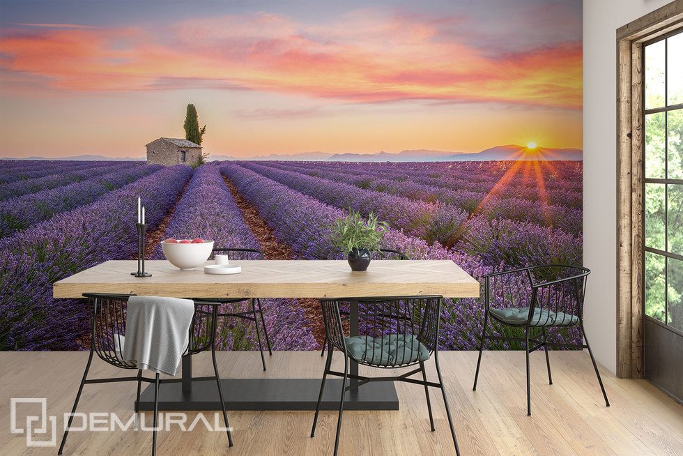 Een lavendelveld tot aan de horizon Provence Fotobehang Fotobehang Demural