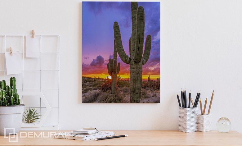 zonsondergang over de cactusvallei canvas voor de kantoor canvas demural