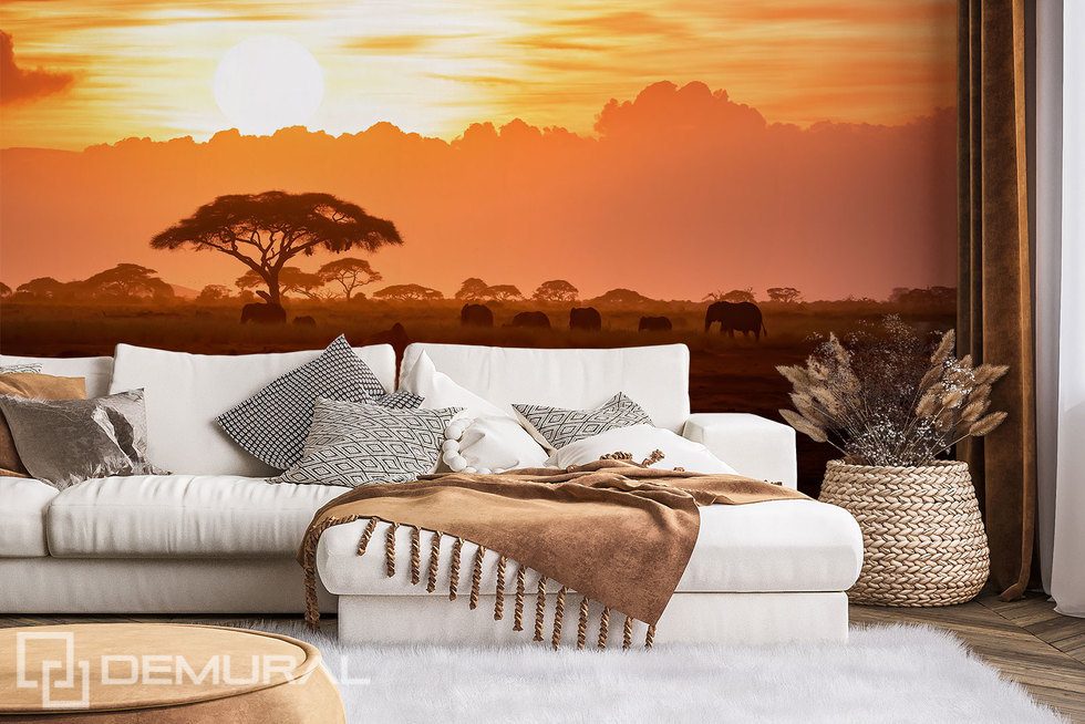 Afrikaanse zonsondergang Zonsondergang Fotobehang Fotobehang Demural